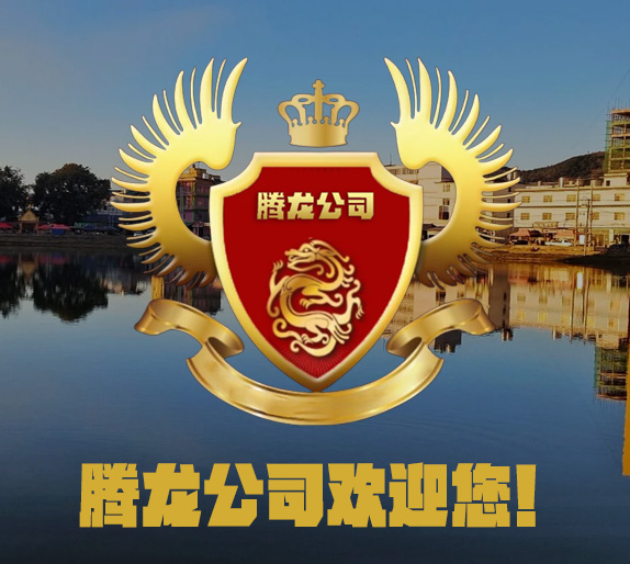 腾龙公司官网 腾龙游戏公司官方LOGO